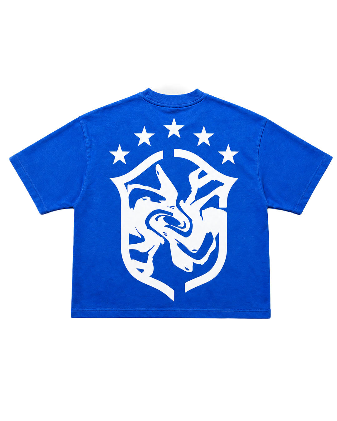 BRA5IL BLUE BOXY